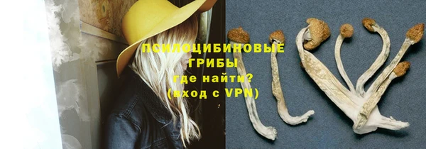 прущие крисы Вяземский