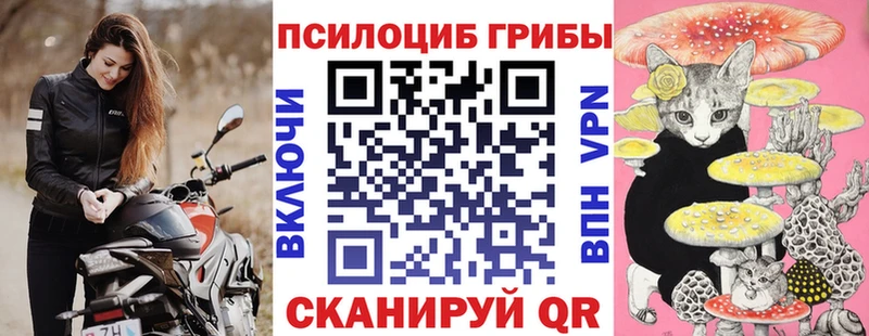 Псилоцибиновые грибы мухоморы  Купить где  Саянск 